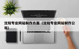 葫芦岛沈阳专业网站制作方案（沈阳专业网站制作公司）